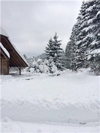 96f58d9f-20170118 VV put.jpg